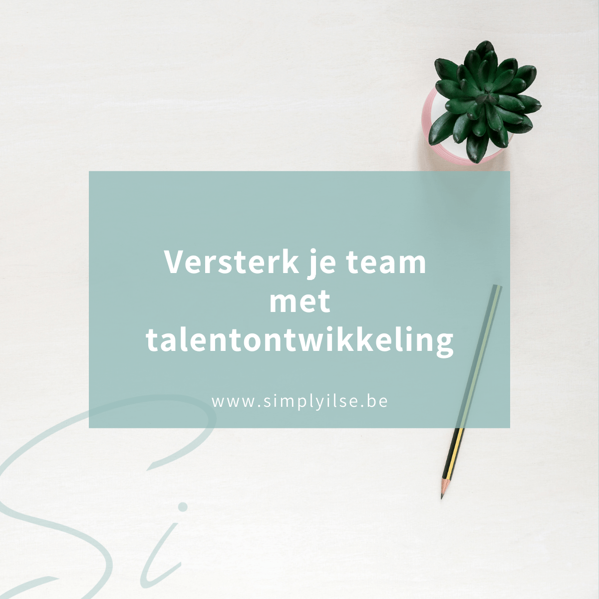 Zet In Op Talentontwikkeling Voor Een Sterker Team - Simply Ilse